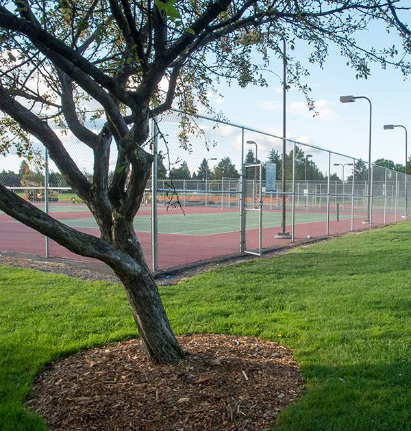 Tennis courts in Fichtner-Mainwaring Park